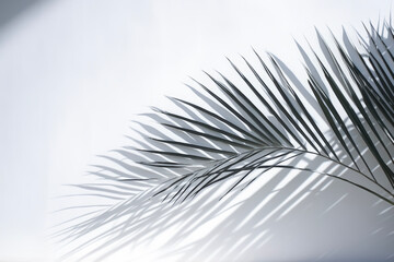 Nature lighting of blurred shadow from palm leaves on the white wall mockup. WEB concept for advertisements and banners. 