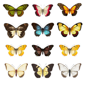 Sets of Butterfly on transparent background