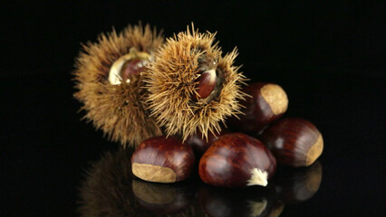 Chestnuts on a black reflective background