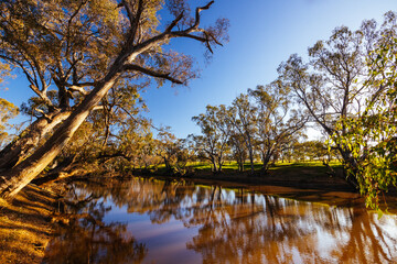 Campaspe River in Axedale in Australia