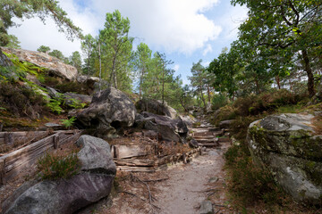  Restoration of the  eroded sections in the Franchard gorges. Fontainebleau forest