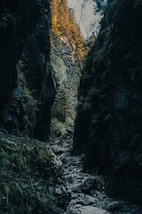 valley in Tatra mountain