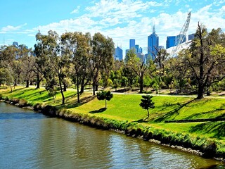 Green trees and grass by the Yarra River with city buildings in the background. Melbourne Victoria,...