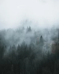 Raamstickers fog in the forest © HseyinAli