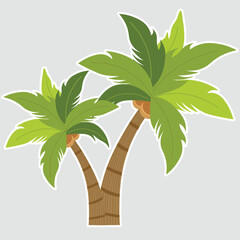 Palm trees. Tropical tree green leaves, beach palms and retro california greenery. Miami trees, Beach tree, coconut palm or exotic hawaii forest green tree. Isolated vector.