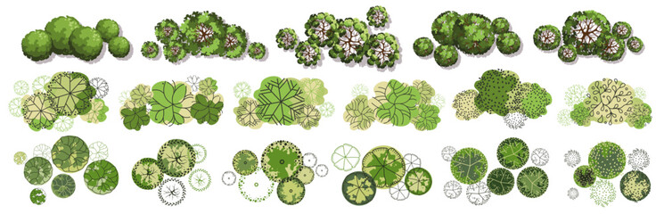 Tree for architectural floor plans. Entourage design. Various trees, bushes, and shrubs, top view for the landscape design plan. Vector illustration.