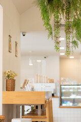 modern kitchen interior