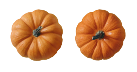 Fresh orange little pumpkins isolated on background. Symbol of Halloween, Thanksgiving. Autumn vegetable. Natural fall element, decoration. Flat lay, top view. Garden harvest.