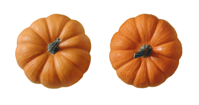 Fresh orange little pumpkins isolated on background. Symbol of Halloween, Thanksgiving. Autumn vegetable. Natural fall element, decoration. Flat lay, top view. Garden harvest.