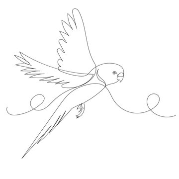 recommend clip art: parrot flying, one continuous line drawing, on a white background, vector