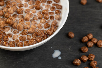 sweet and healthy chocolate balls with cow's milk