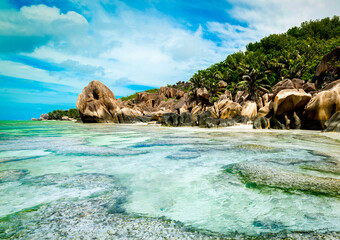 Coral reef in world famous Anse Source d'Argent beach