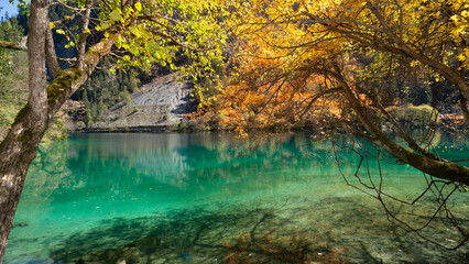 In Jiuzhaigou National Reserve, a calm green lake mirrors autumn trees. Serenity and vibrant colors combine, inviting visitors to witness nature's artistry in China's enchanting landscape.