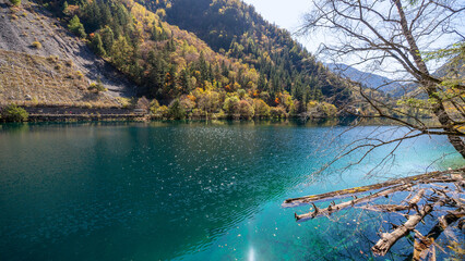 jiuzhaigou valley Panda lake with five color autumn foliage, China