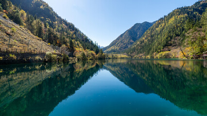 Panda Lake's water reflection in Jiuzhaigou, China: A mirror to the sky and autumn trees, capturing the tranquil essence of the surrounding forest.