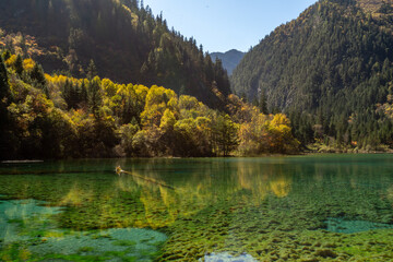 Beutiful autumn foliage at Crystal lake JiuZhaigou Nature reserve, China
