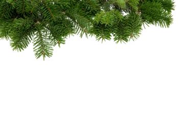 Fototapete Rund Bäume Christmas tree border isolated on white transparent, Xmas spruce, green fir pine branch, PNG.   © Rawf8