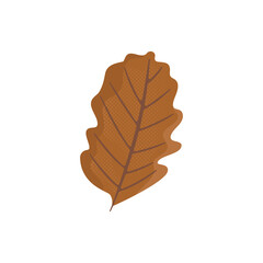 Autumn hand drawn clipart. Fall season cozy symbol. Autumn seasonal element - brown leaf . Harvest colorful illustration. Thanksgiving flat icon. Stock design