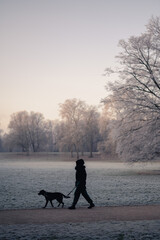 A park meadow and a wooded area are covered by winter frost and touched by the soft rising sun. In the darker foreground a young woman walks with her dog.