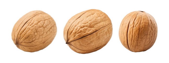 Collection set of walnuts isolated on transparent or white background, png