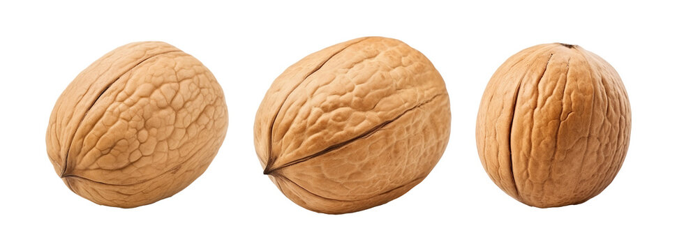 Collection set of walnuts isolated on transparent or white background, png