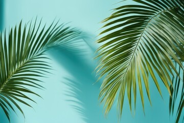 Fototapeta premium blurred shadow from palm leaves on the light blue wall minimal abstract background for product