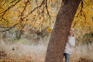 cute little girl is enjoying warm autumn day in the park. yellow tree, child playing with leaves and smiling, peeking out from behind the tree. weekends and nature walks, children's and family leisure - obrazy, fototapety, plakaty