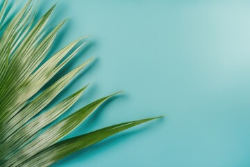 blurred shadow from palm leaves on the light blue wall minimal abstract background for product
