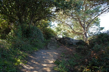 Escalier en pierre