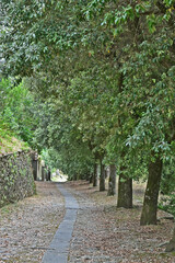 Cortona, la discesa dalla Basilica di Santa Margherita - Arezzo