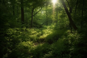 Fototapeta na wymiar Sunlight filters through dense foliage, casting dappled shadows on a lush forest background. Generative AI