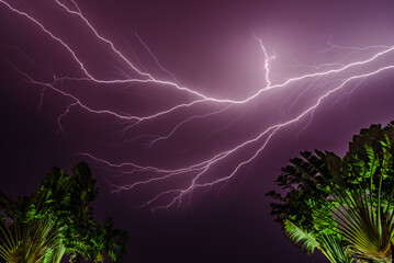Lightning streaking across the sky above palm trees