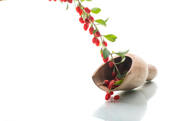 Branch with ripe red goji berry on white background