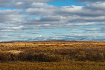 Colorful autumn landscape. View of the tundra and mountains. Travel to the far North. 