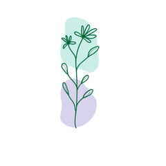 tree isolated on white