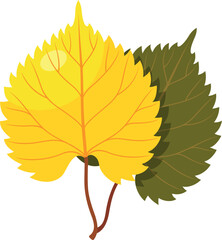 Birch leaves yellow green ornamental foliage with stem vector flat illustration