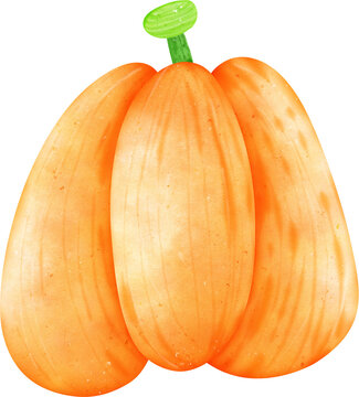 Pumpkin cute hand drawing/ beautiful pumpkin for Halloween decoration/ Clipart design for decoration, shirt, print, 