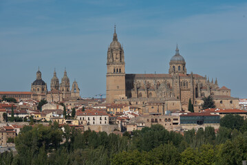 Fototapeta na wymiar Salamanca Cathedral from morning to night