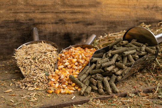 shovel spoons with horse food ingredients