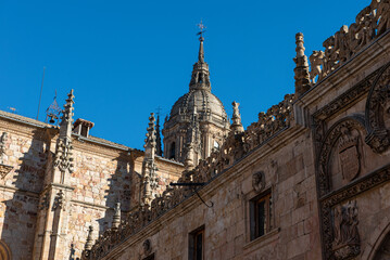 Fototapeta na wymiar Salamanca, the third oldest university in the world