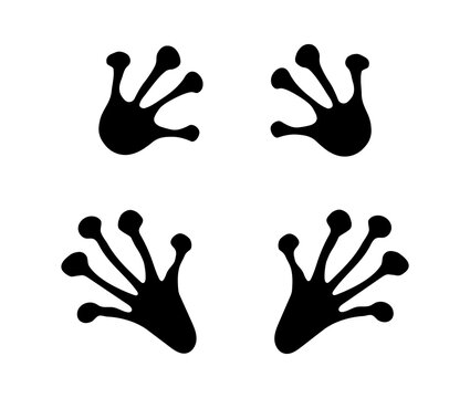 Frog or toad paw footprint. Silhouette. Front and hind frog legs. Black vector isolated on white. Paw print of amphibian, frog, toad, lizard, salamander, newt. Icon, symbol. Print, textile, postcard
