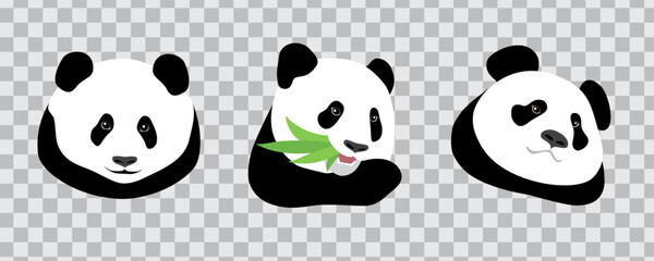 Panda bear animal. Set of icons, avatars. Isolated vector illustration on transparent background