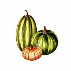 Composition of three colorful pumpkins isolated on white, hand drawn marker illustration in watercolor technique. For menu, visual aids, postcards, greeting cards, prints for clothing, shoppers, mugs