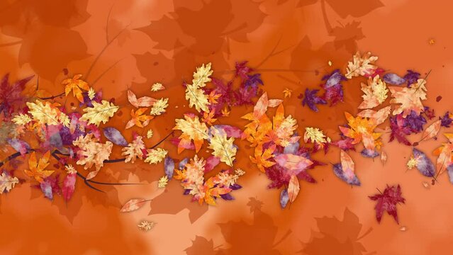 Brightly colored oak and maple leaves from a twirling and falling tree branch. Animated looped autumn orange background.