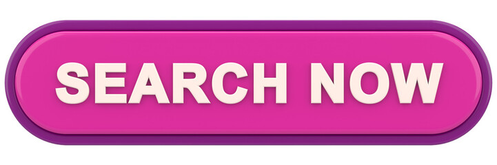 Search now button. 3D illustration.