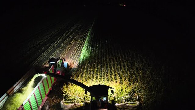 Aerial shot of corn chopper harvesting corn and loading corn grains into tractor trailer in the late evening. Corn chopper at night with illuminated lights in the field. View behind the driver's cabin