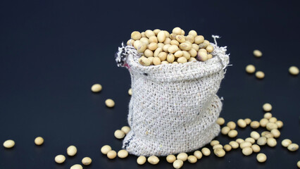 Closeup of Dried soybean or soya beans. Glycine max