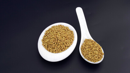Dried fenugreek seeds or Methi Dana. hulba, heyseed, dari, blood sugar treatment - obrazy, fototapety, plakaty