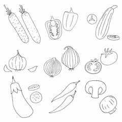 Hand drawn set of vegetables. Food vector illustration. 