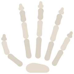 Hand Bones Icon